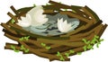 Cartoon Empty bird nest with eggshell